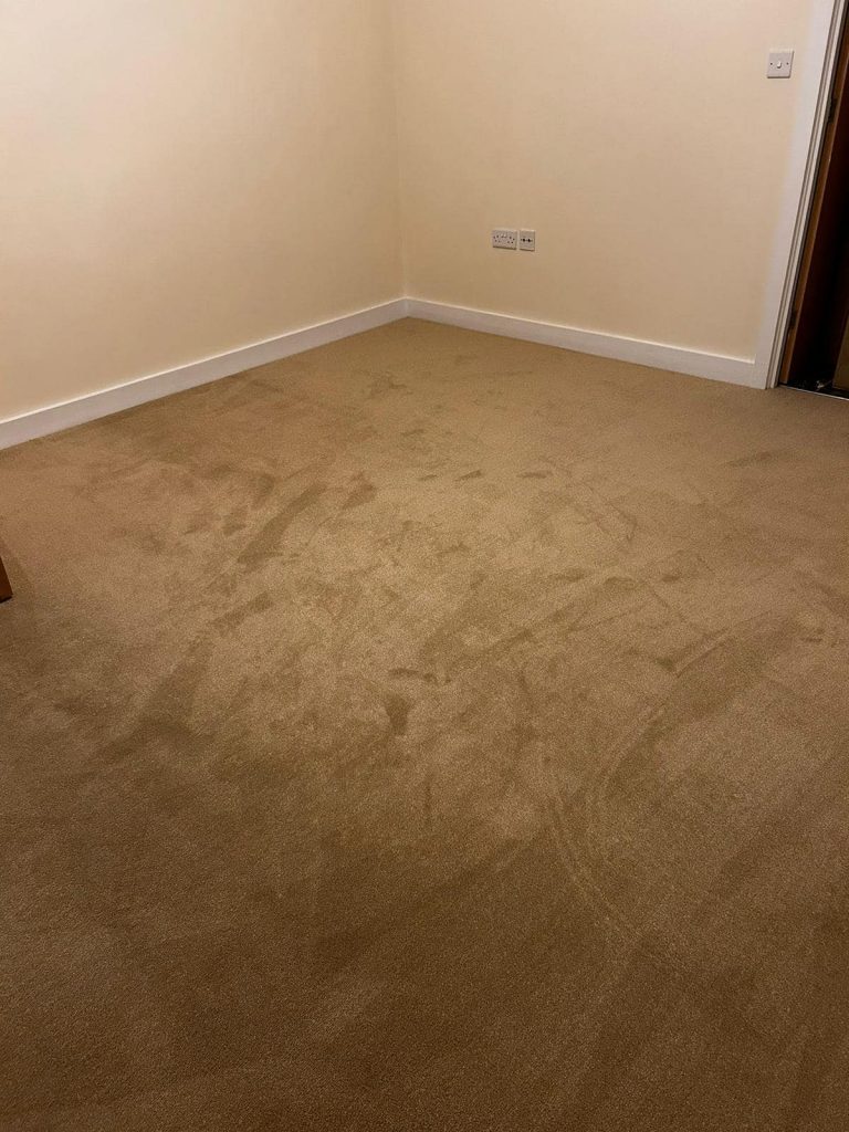 322022968_1205155380413417_3276182234518040871_n luxury carpet