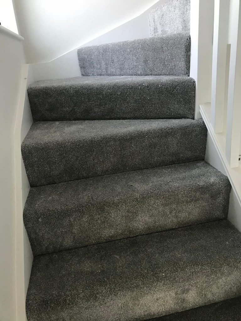 323440889_1730414134022267_5566746316838306094_n new carpet