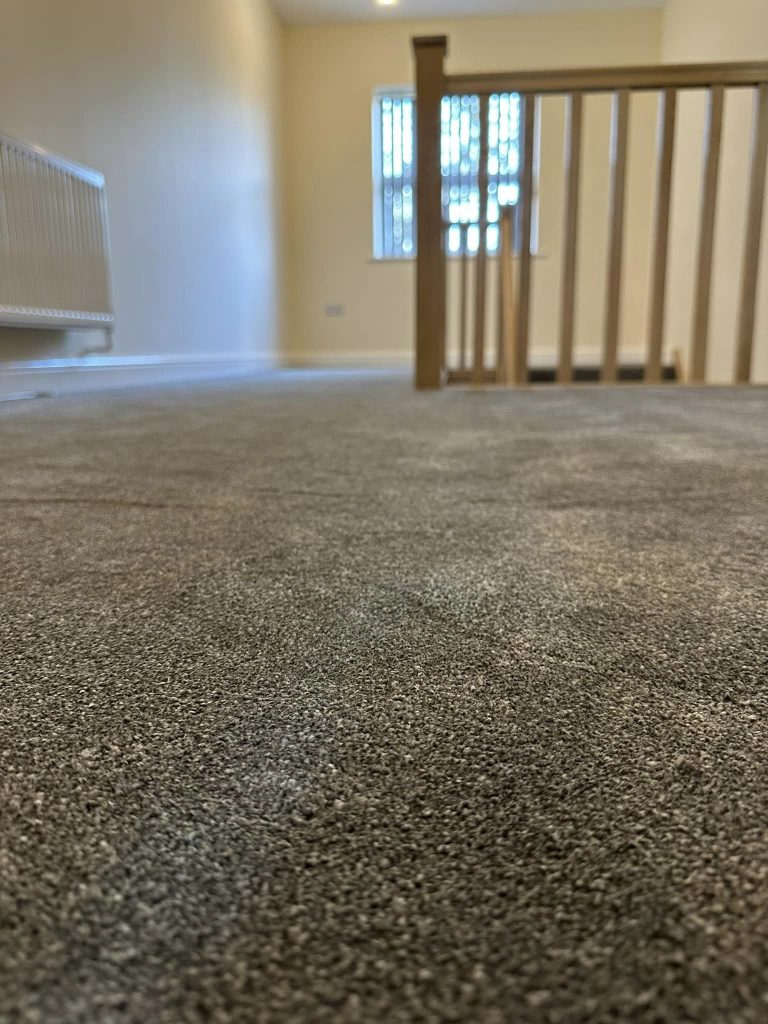 329427243_582047950196642_2182000538236628988_n landing carpet