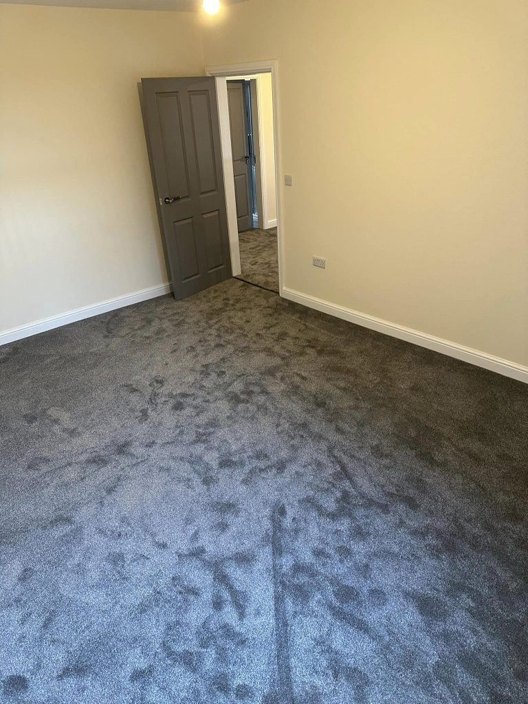 331951081_1142916023070182_1699251430544787615_n new high quality carpet